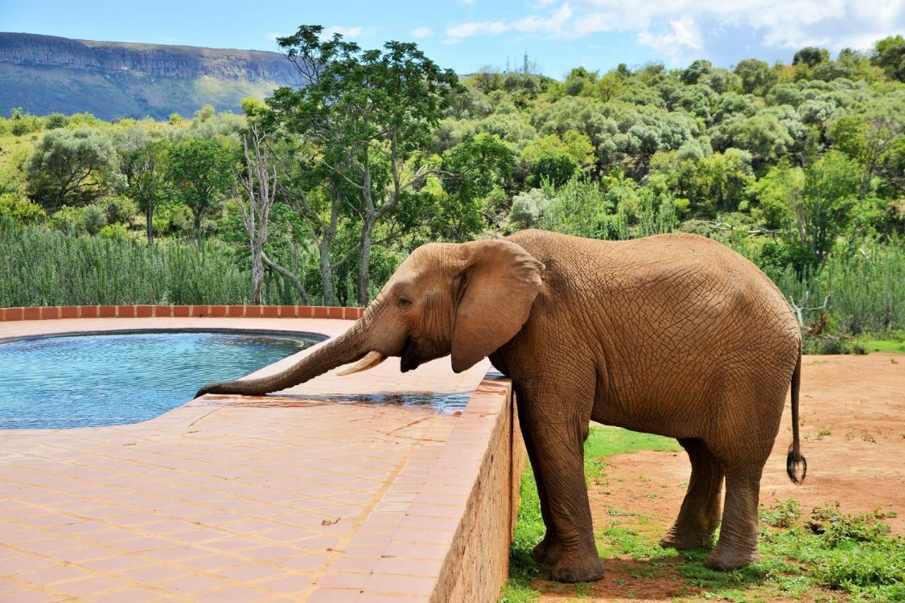 African Hills Safari Lodge & Spa Magaliesburg Exterior foto